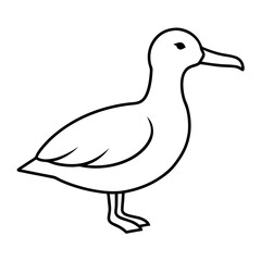 duck isolated on white