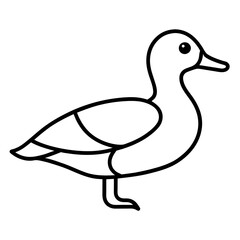 illustration of a duck