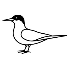 silhouette of a bird