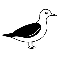 duck isolated