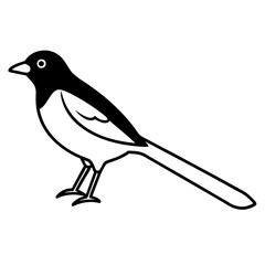 bird on a branch