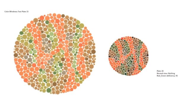Color vision test, Color Blindness Test Plate 15, Ishihara, Plate 20, Normal view Nothing, Red_Green deficiency: 45.