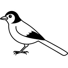 illustration of a bird