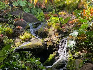 Hawaii Garden