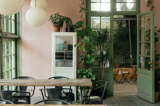 Cozy indoor dining area with greenery in a bright cafe