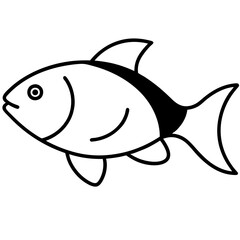 fish isolated on white