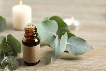 Eucalyptus essential oil in a glass bottle with green eucalyptus leaves on a wooden background. Aromatherapy concept. Spa. Natural organic ingredients for cosmetics and body care. © Sunlight