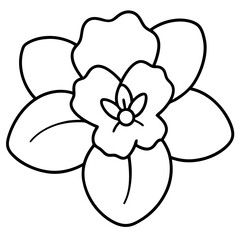 orchid isolated on white