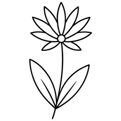 black and white flower