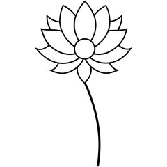 illustration of flower