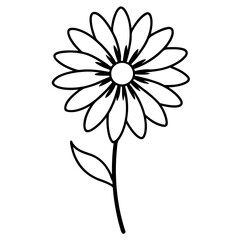 daisy flower