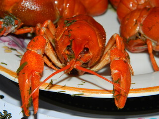 Cooked crayfish on a plate