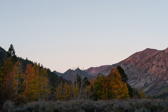 Aspens change color against the mountains