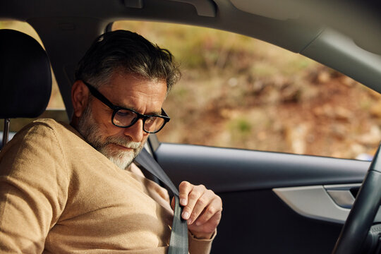 Portrait of the driver fastens his seatbelt