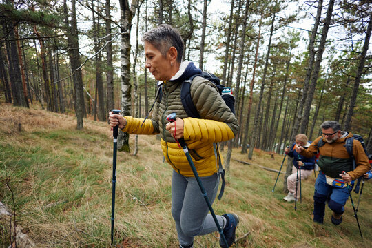 People are actively hiking through the forest