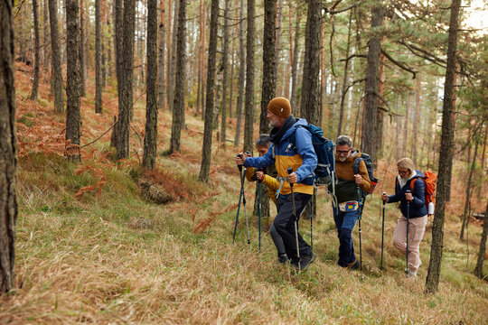 Hikers traverse the woods