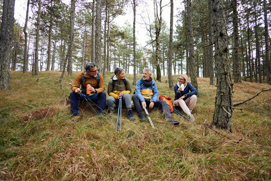 Four hikers taking break and chatting in the forest