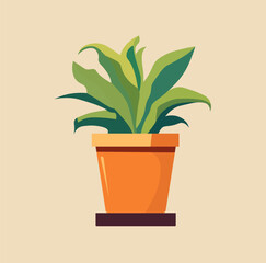 plant in flowerpot