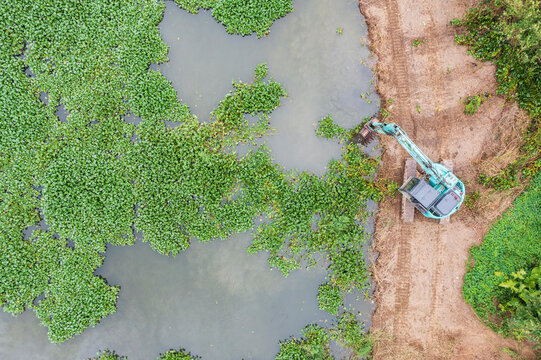 Excavator Removing Water Hyacinth from Pond