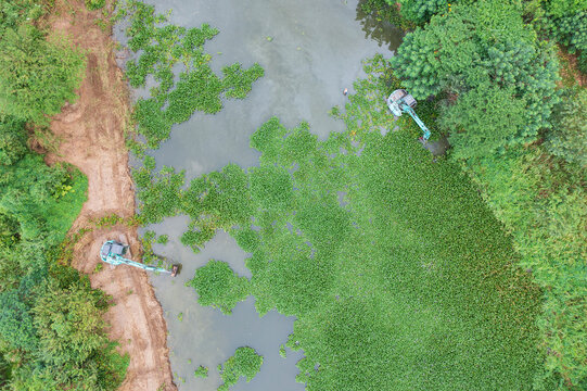 Aerial View of Pond Clearing Water Hyacinth with Machinery