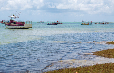 praia da Ponta Verde em Maceió Alagoas Brasil
