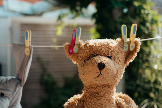 Teddy bear hanging on the washing line to dry