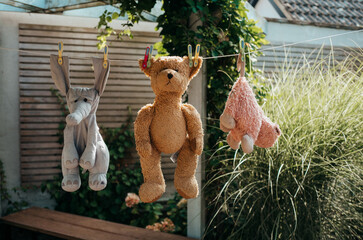 Soft toys, including a teddy bear, hanging on the washing line to dry