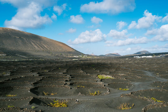 The landscape of La Geria, Lanzarote.