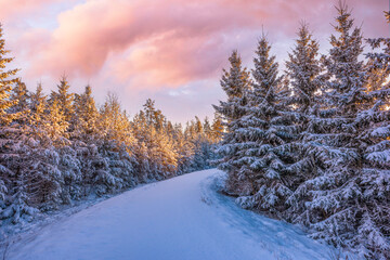 winter landscape with snow in Sweden