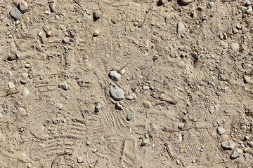 A close view of the pebbles in the dirt surface.