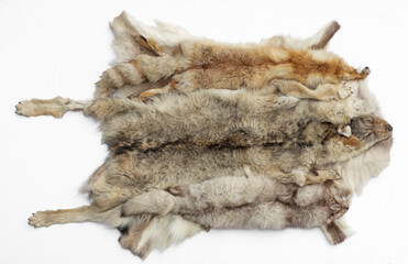 tanned animal skins isolated on white background