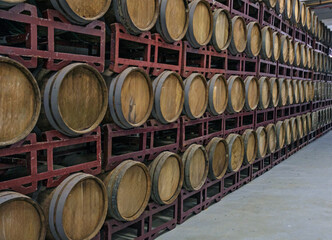 Oak barrels for storage and aging of red wines produced from the carmenere and tannat grapes. Bento Gonçalves. Rio Grande do Sul. Brazil, 2016