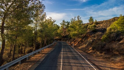 Fototapeta premium Scenic road through pine forest