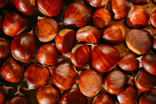 Close-Up of Fresh Chestnuts in Natural Light