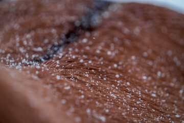 beautiful icelandic horse in snow winter Iceland 