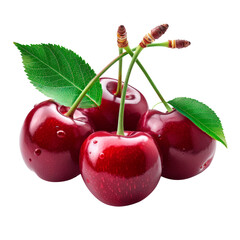 Cherry, isolated on transparent background. PNG element.
