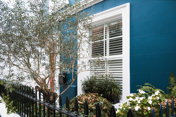 Colorful Notting Hill house, doors, windows and plants