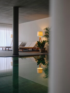 Indoor Pool With Deck Chairs and Potted Plants
