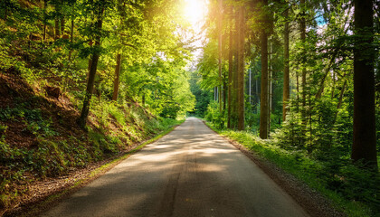 sunlit country road during summer straight trail through wild forest beautiful summer scenery for outdoor adventures vibrant foliage framing the path with trees and hills perfect for promotional