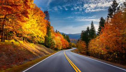 Naklejka premium fall colorings on a scenic road