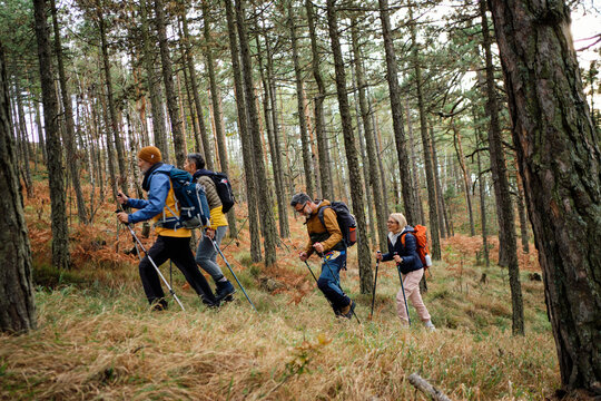 Four people hiking together in the woods