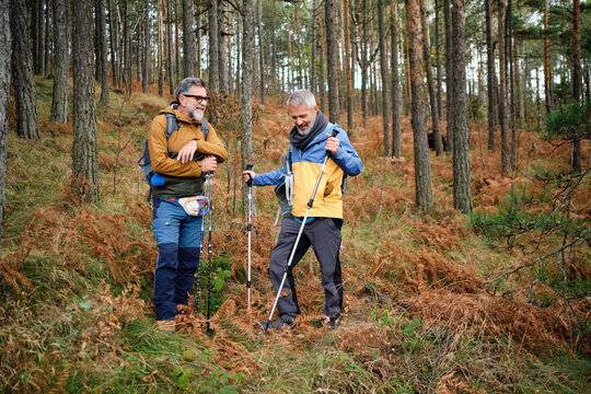 Men rest in the forest