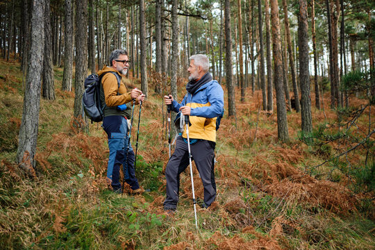 Hikers talk in the forest