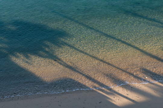 Shadows of palm trees stretch across the sandy shore