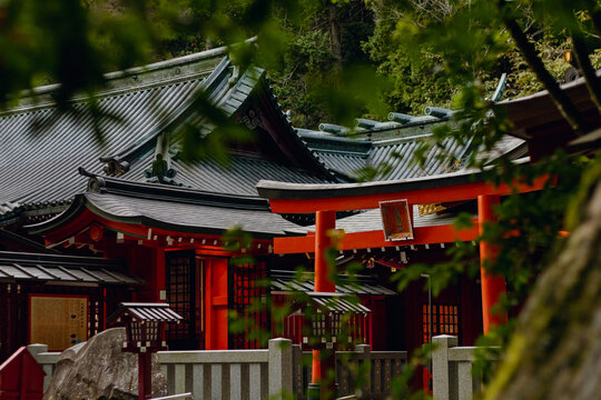 Traditional Japanese architecture surrounded by greenery 