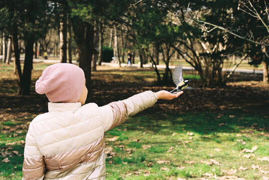 Girl feeding tits from her hand in the park at spring.