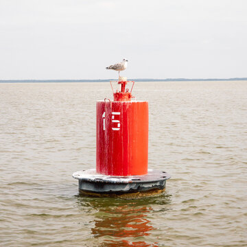 Red navigation buoy with seagull on a gloomy day