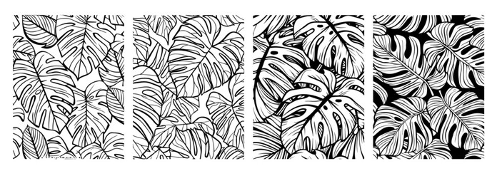 Fototapeta premium artistic set of tropical monstera leaf illustrations in monochrome style