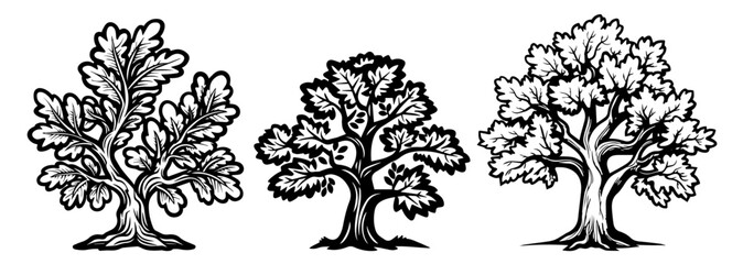 Fototapeta premium artistic line art vector of a tree with textured trunk and foliage