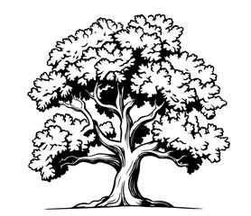 monochrome vector design of a tree in detailed sketch technique © Luka